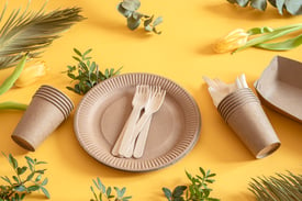eco-friendly-stylish-recyclable-paper-tableware